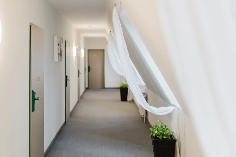 Flur mit Pflanze im 3. Stock des Motel Baden